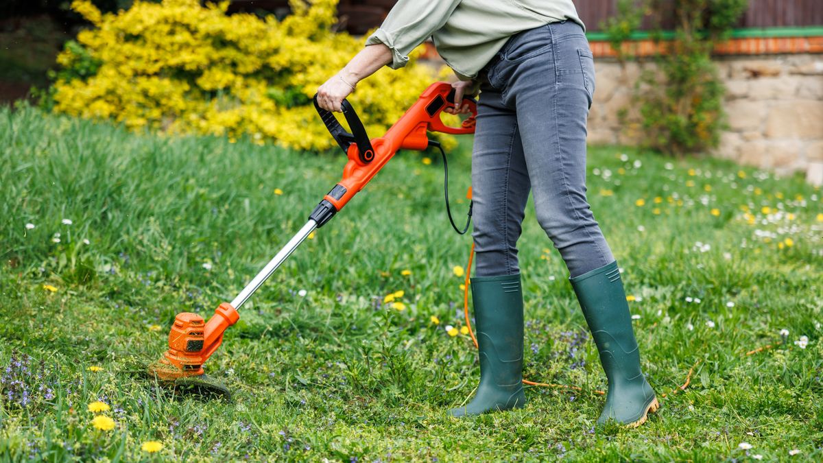 Best String Trimmers for Every Budget – Our Favorite Gas & Electric Weed Eaters, Reviewed by Experts