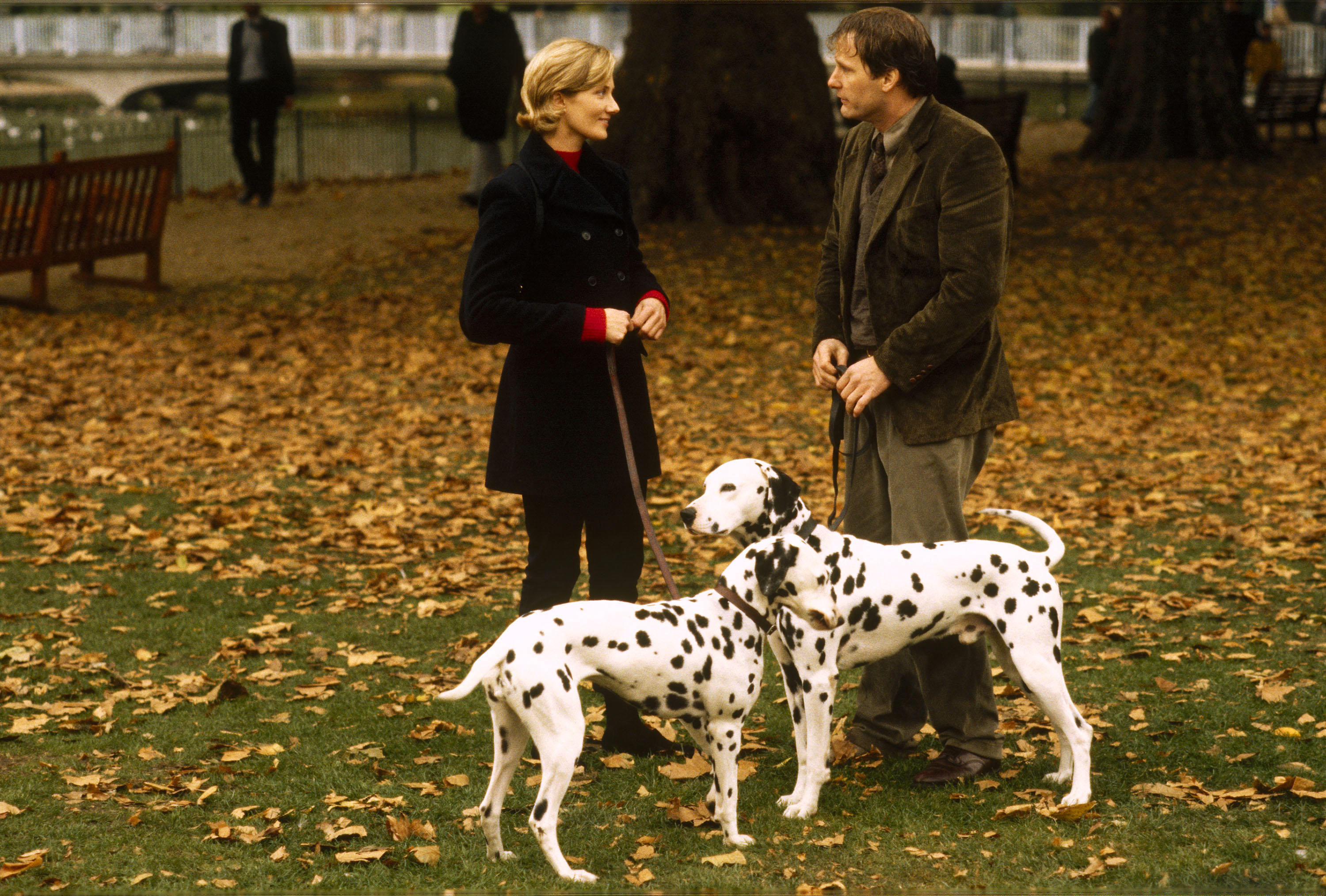 A man and woman stand talking in an autumn park, each holding the lead of a Dalmatian, with fallen leaves scattered around them.