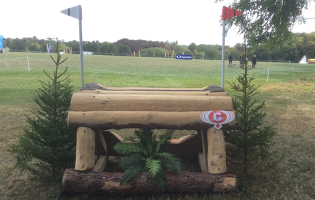 Blenheim Fences 2018