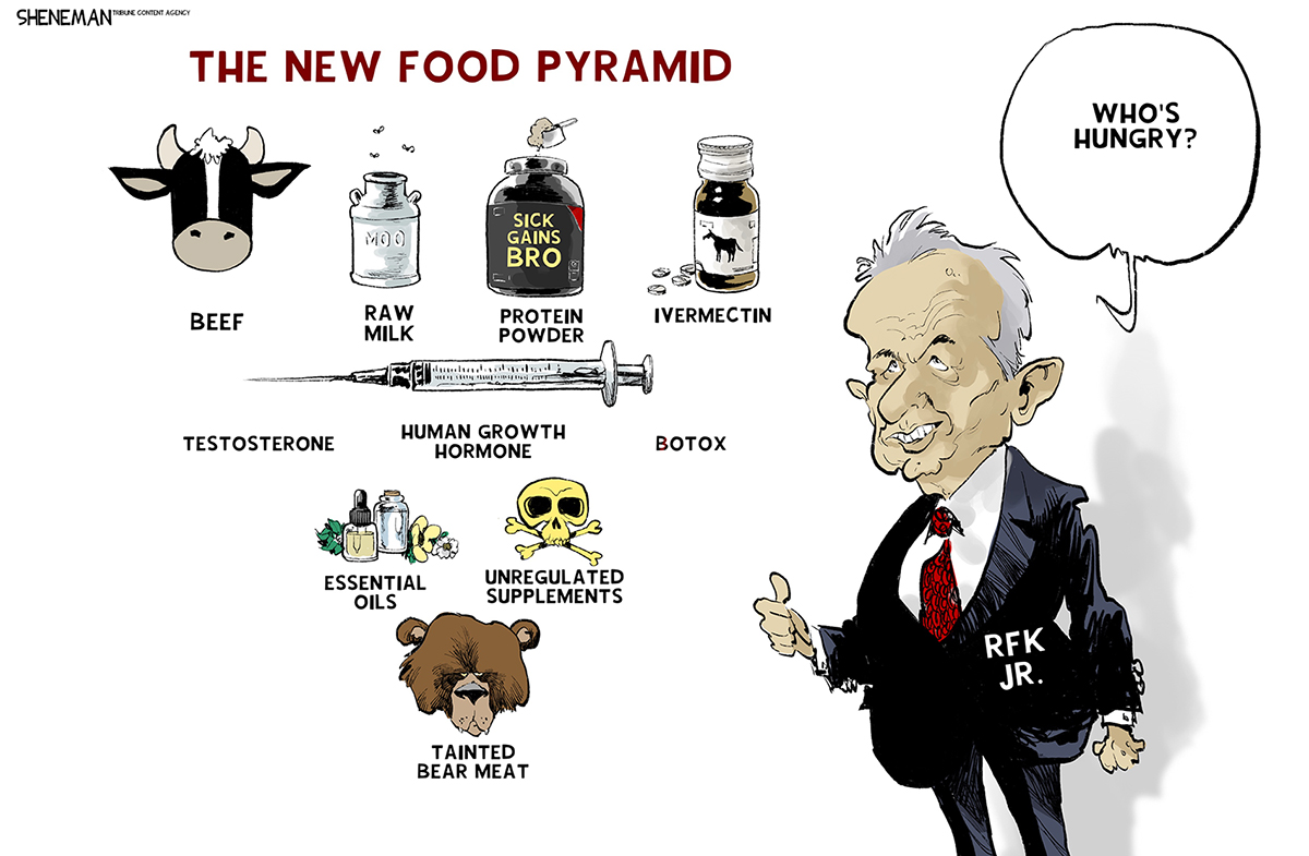 This cartoon is titled &amp;ldquo;The New Food Pyramid&amp;rdquo;. It depicts RFK Jr. in a suit standing next to some suggested things to ingest. They four things on top are &amp;ldquo;Beef&amp;rdquo; with a picture of a cow head, &amp;ldquo;Raw milk&amp;rdquo; with a picture of a milk jug where flies buzz, &amp;ldquo;Protein Powder&amp;rdquo; with the words &amp;ldquo;sick gains bro&amp;rdquo; on a bottle and then a bottle of Ivermectin with a horse on the side. The next level down has a sharp syringe and the words &amp;ldquo;testosterone, human growth hormone&amp;rdquo; and &amp;ldquo;botox&amp;rdquo;. The next has &amp;ldquo;essential oils&amp;rdquo; and a skull and crossbones over the words &amp;ldquo;unregulated supplements.&amp;rdquo; The final part of the pyramid shows a bear&amp;rsquo;s head and the words &amp;ldquo;tainted bear meat.&amp;rdquo;