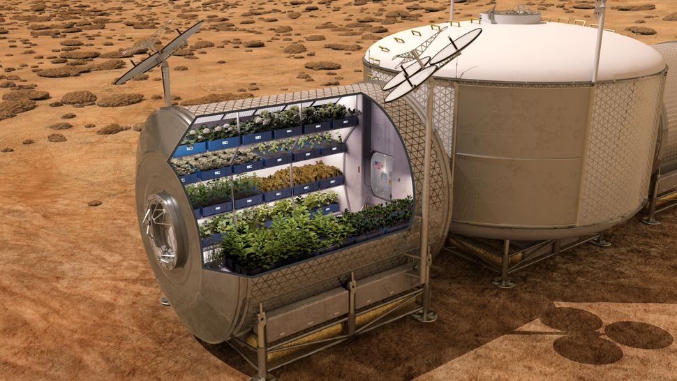 For Astronauts on Mars, the Veggie of the Day May Be Asparagus