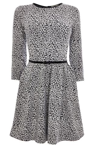 Oasis Animal Jacquard Dress, £42