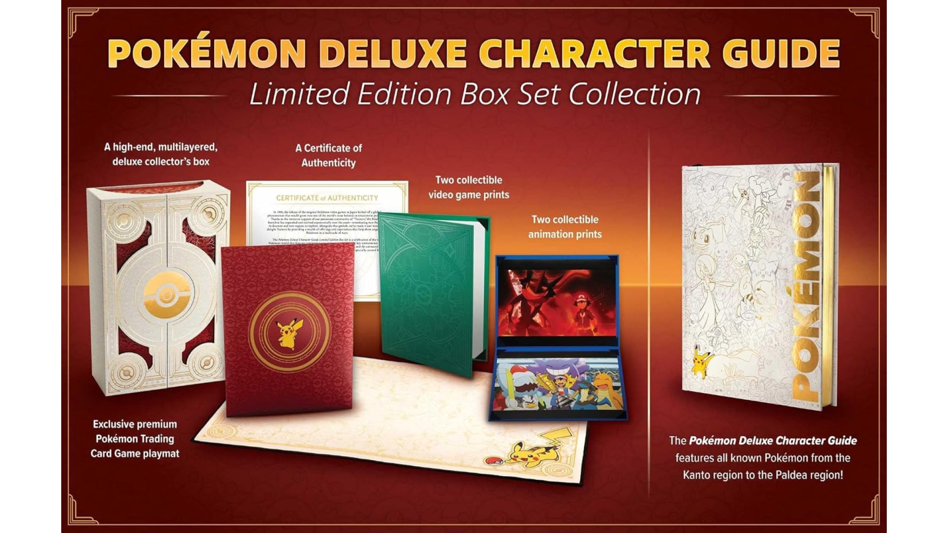 Pokemon Deluxe Character Guide poster showing included accessories