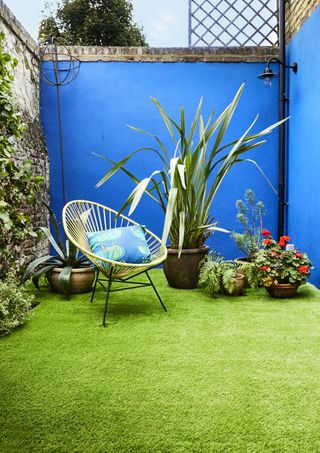 bright colour on walls for small garden design