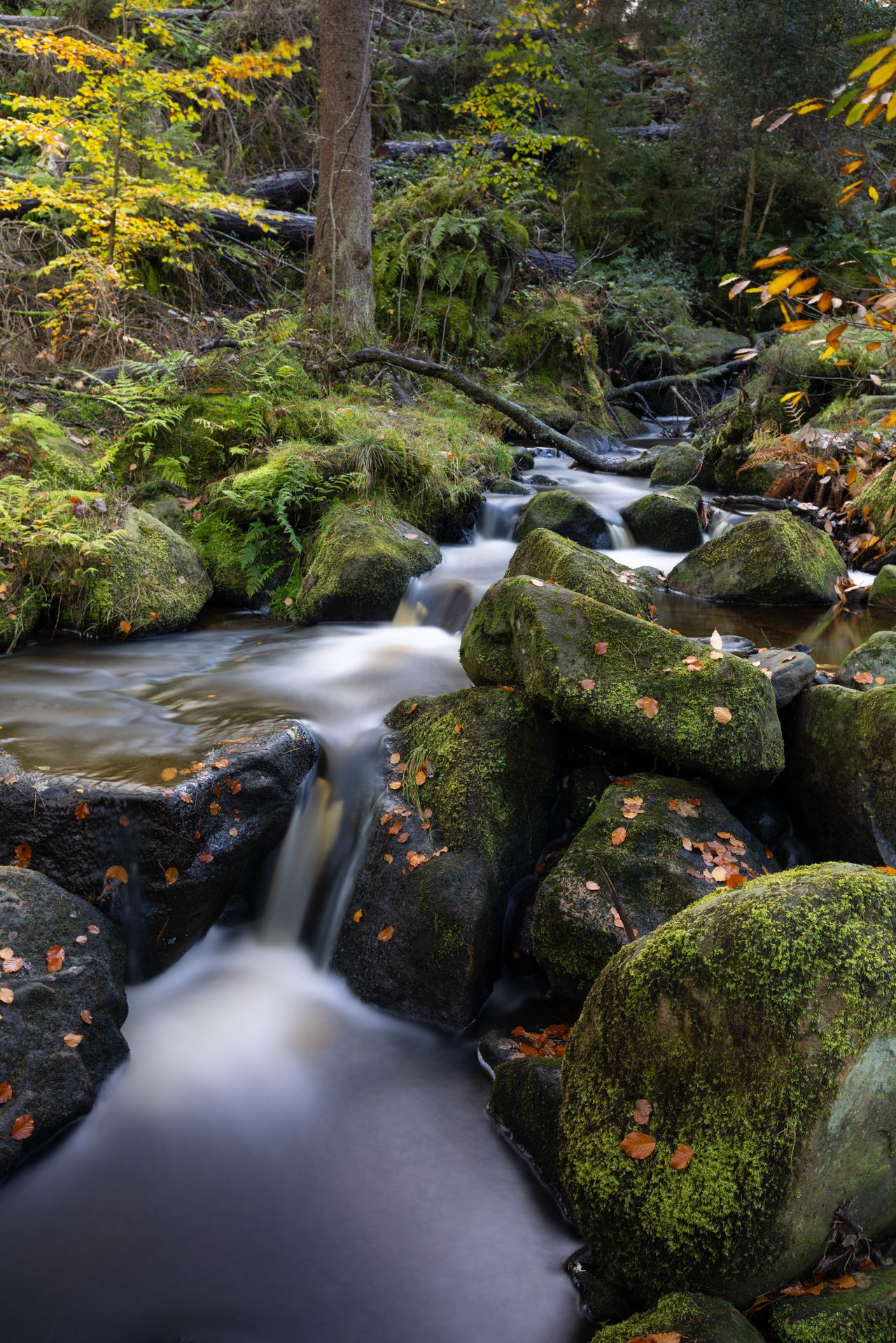 Tiffen Variable ND MCS filter product shot