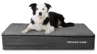 The Dog's Bed Orthopedic Memory Foam Luxury Dog Bed