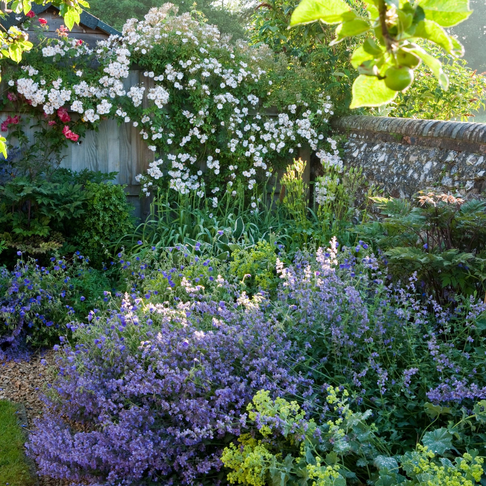 Can you use bathwater to water plants? Experts reveal Ideal Home