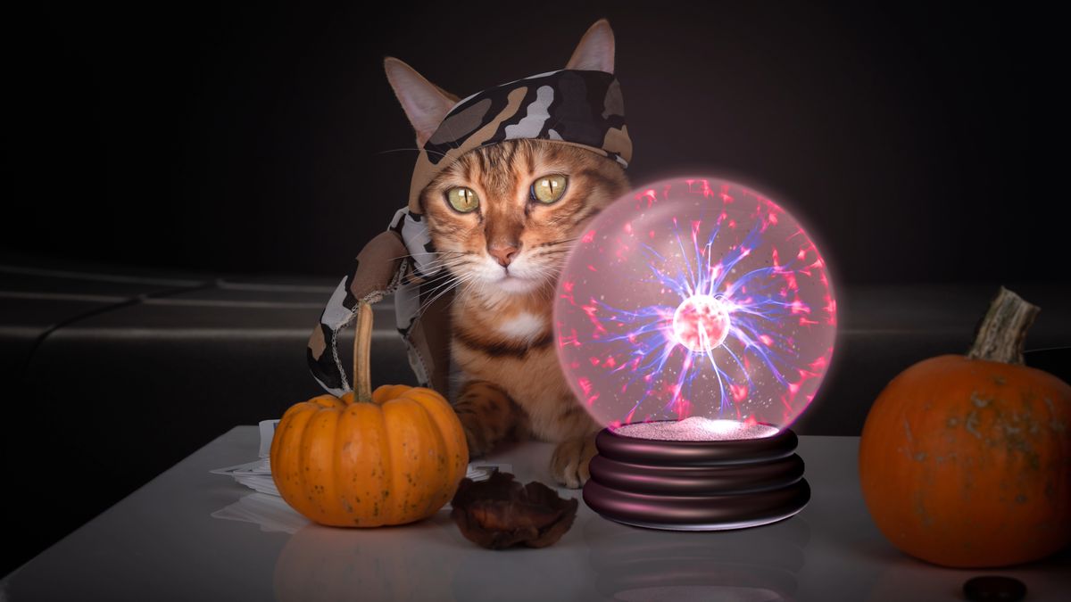 Cat sitting next to a fortune telling ball and a pumpkin with a scarf on its head, ready to read the pet horoscopes 2025