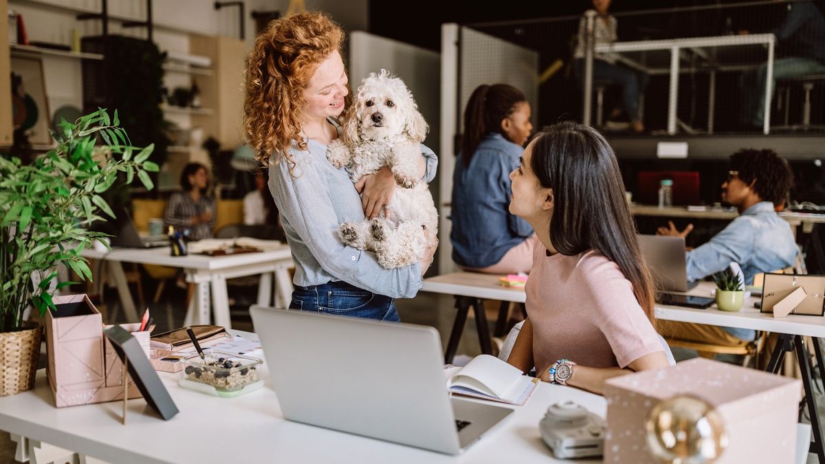 Woman showing her dog to a colleague on Take Your Dog to Work Day