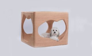 K3 kennel, by Hasan Al-Rashid, student at the Architectural Association