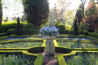 garden color schemes: blue flowers in formal garden with stone statue in centre