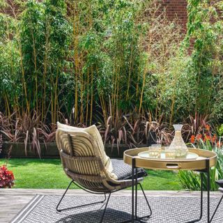 green lawn edged with bamboo trees and garden table and chairs