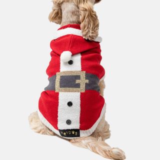 The back of a dog in a Santa knitted dog jumper, for Christmas sweaters for dogs.