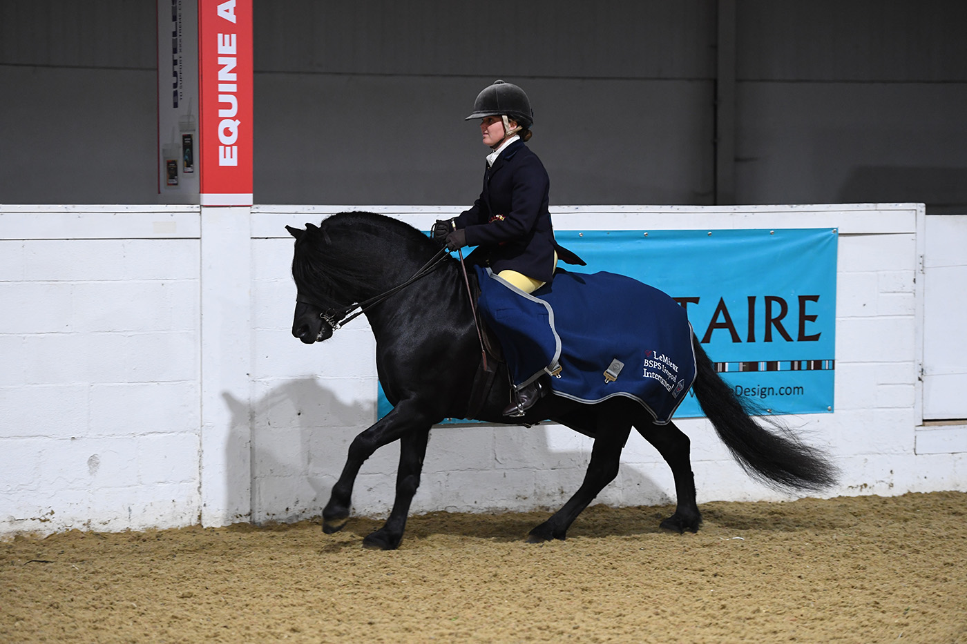 Heritage Show 16.10.21CL 77No 149 Rekcilf Mr Montagu. Jennifer Cowen