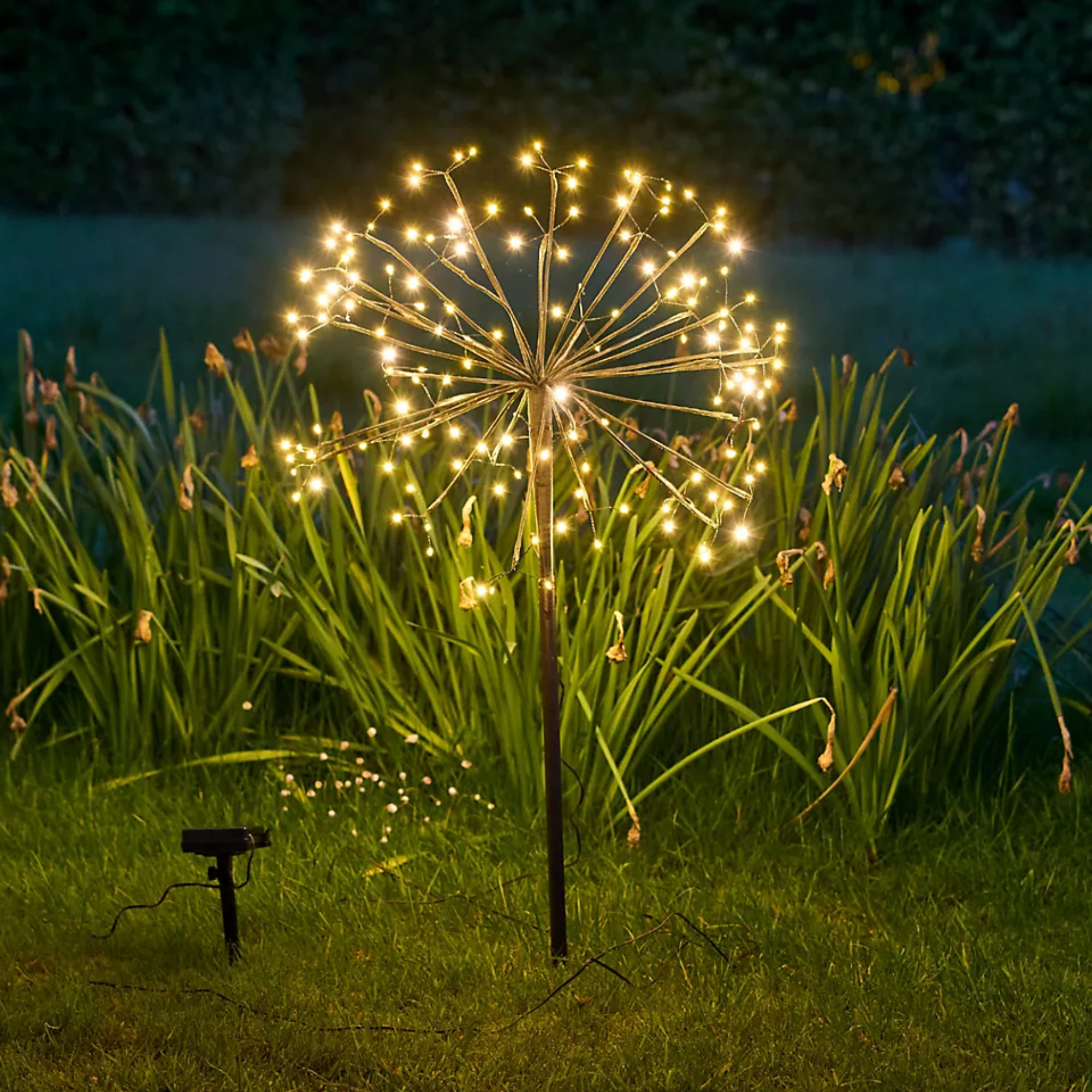 a unique solar garden light