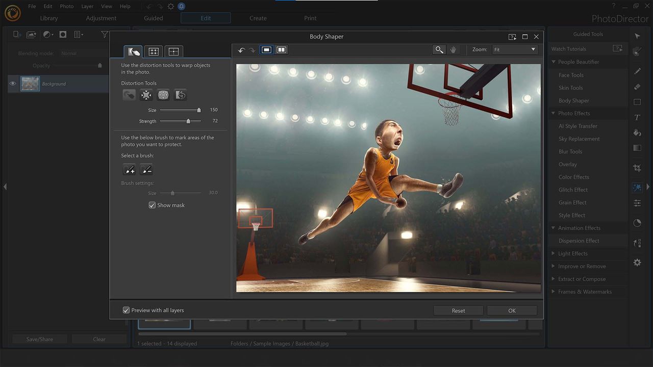 Photodirector 365 review