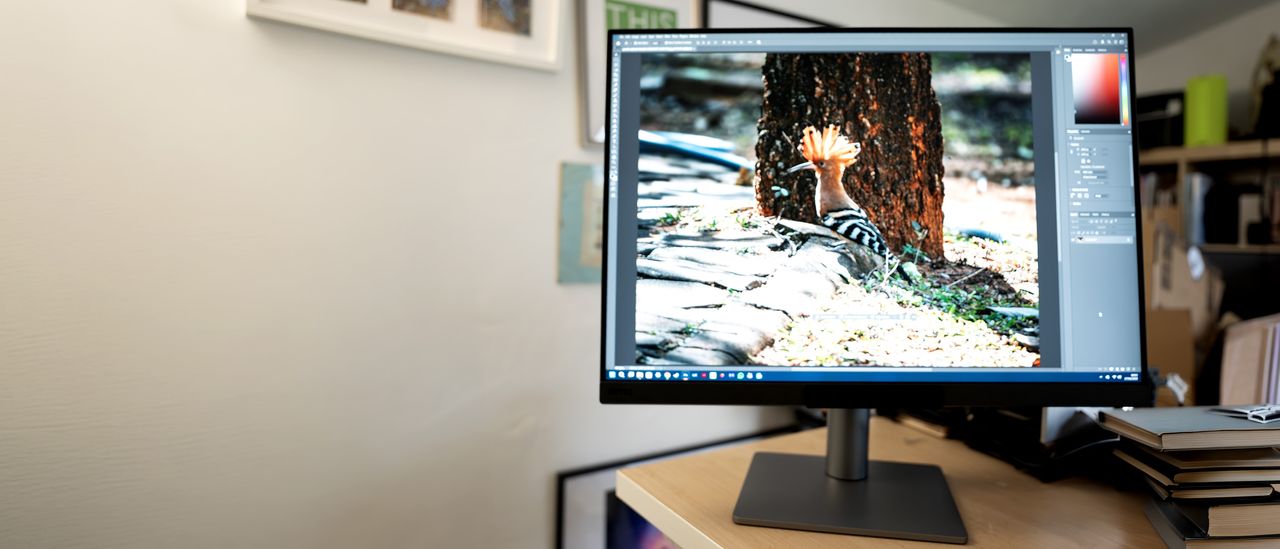 BenQ RD280UG programming monitor