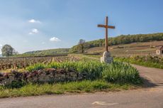 Vosne-Roman&eacute;e 2022