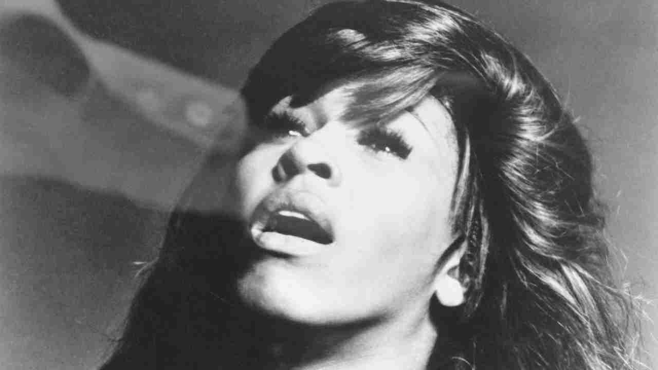 Tina Turner posing for a photograph in 1973