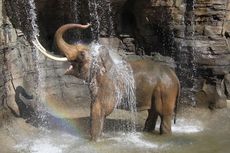 billy-la-zoo-101216-02