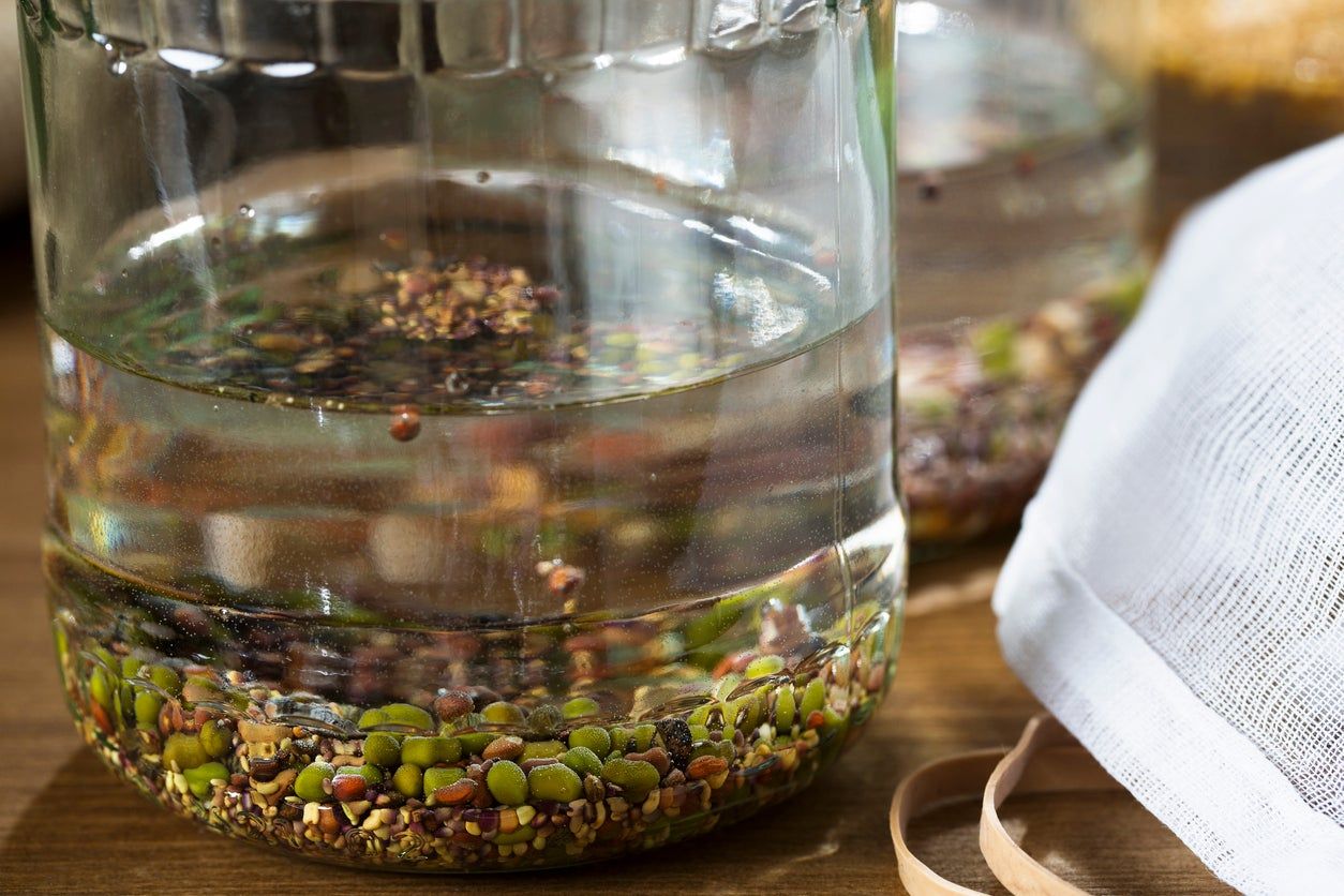 Seeds In Jar Of Water For Treatment