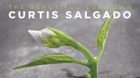 Curtis Salgado: The Beautiful Lowdown artwork