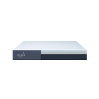 Cocoon Chill Memory Foam Mattress By Sealy:  $1,239