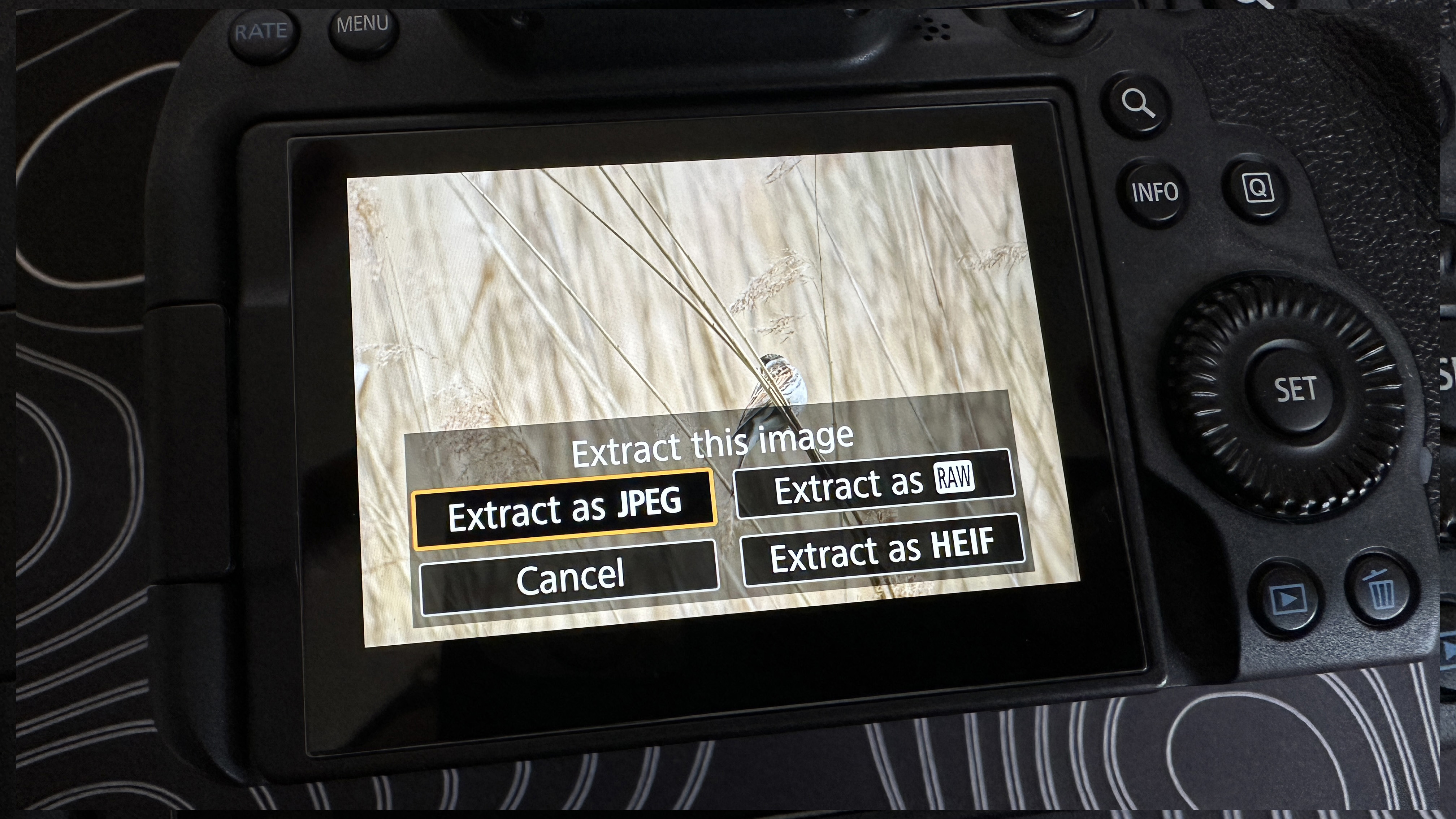 The back LCD screen of a Canon EOS R6 Mark II showing the group of RAW files produced when shooting a pre-continuous burst