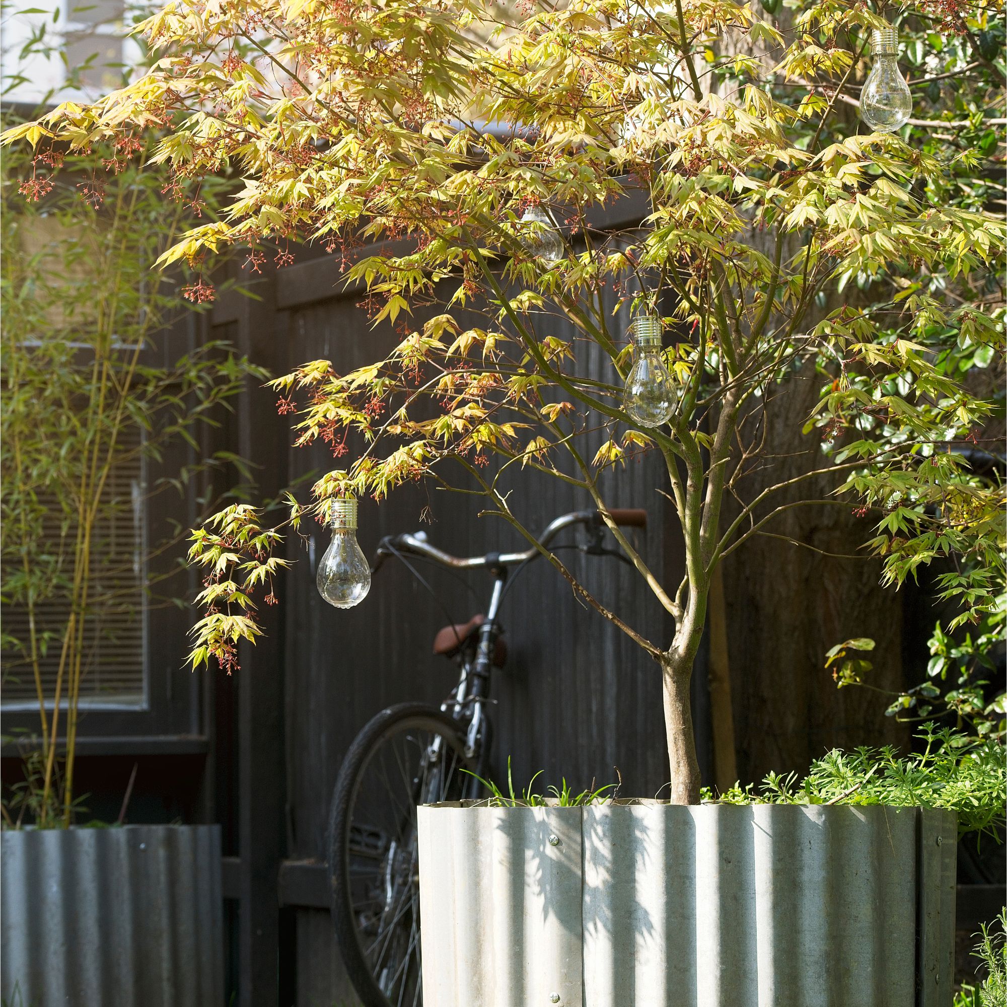 A tree in a metal planter