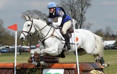 HorseNo47_Belton15pn_7856.jpg