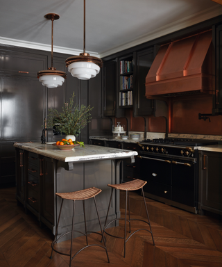 contemporary kitchen in dark colours