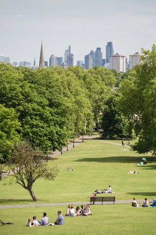 Primrose Hill