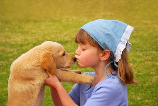 Little girl kissing a Golden Retriever puppy.