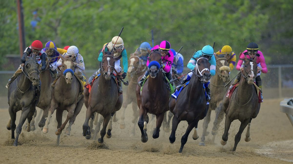 Preakness Stakes live stream how to watch 2020's final Triple Crown