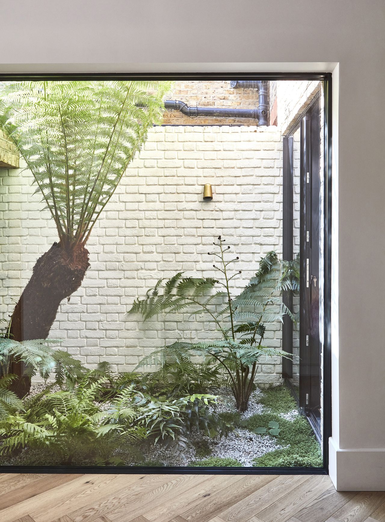 The courtyard in the middle of the downstairs, featuring jungle-like green ferns
