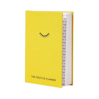 The Positive Planner Journal