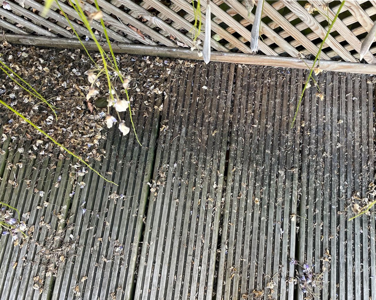 How to oil a deck Real Homes