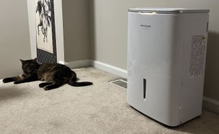 Frigidaire Gallery 50 Pint Dehumidifier with WiFi & cat
