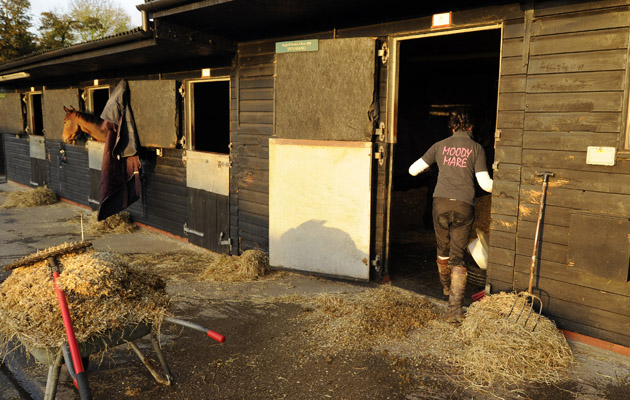 Day in the life Paul Nicholls