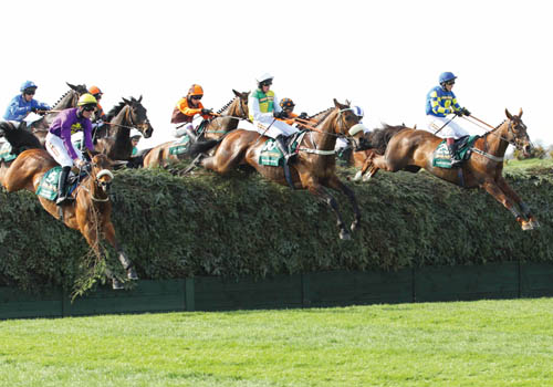 Bechers-Brook-Grand-National.jpg