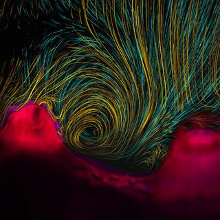 Water swirls in a tiny vortex created by coral polyps, which create miniscule currents by beating whip-like appendages called cilia. The resulting whirlpool helps coral draw in nutrients and push away waste. This image won first place in the photography category of the 2013 International Science & Engineering Visualization Challenge and graces the cover of the Feb. 7 issue of the journal Science.