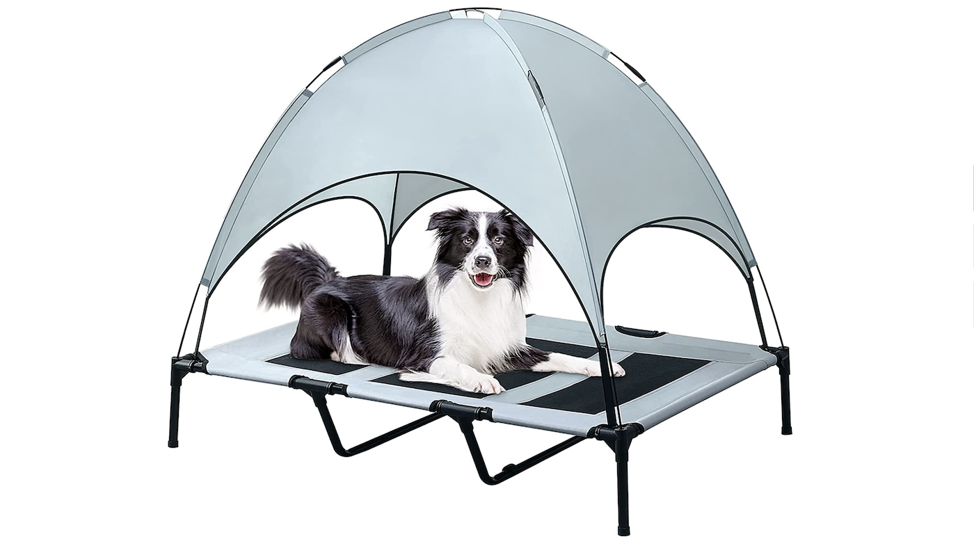 Brian &amp;amp; Dany cooling dog bed with canopy