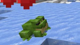 Minecraft froggy