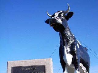 Salem Sue