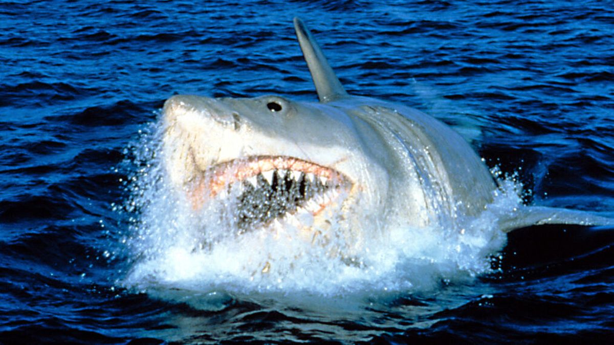 ‘Jaws’ 50th anniversary: How everything going wrong made the film a ...