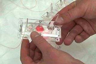Miniature human organs made by 3D printing could create a “body on a chip” that enables better drug testing
