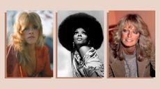 Collage of Farrah Fawcett, Diana Ross and Stevie Nicks