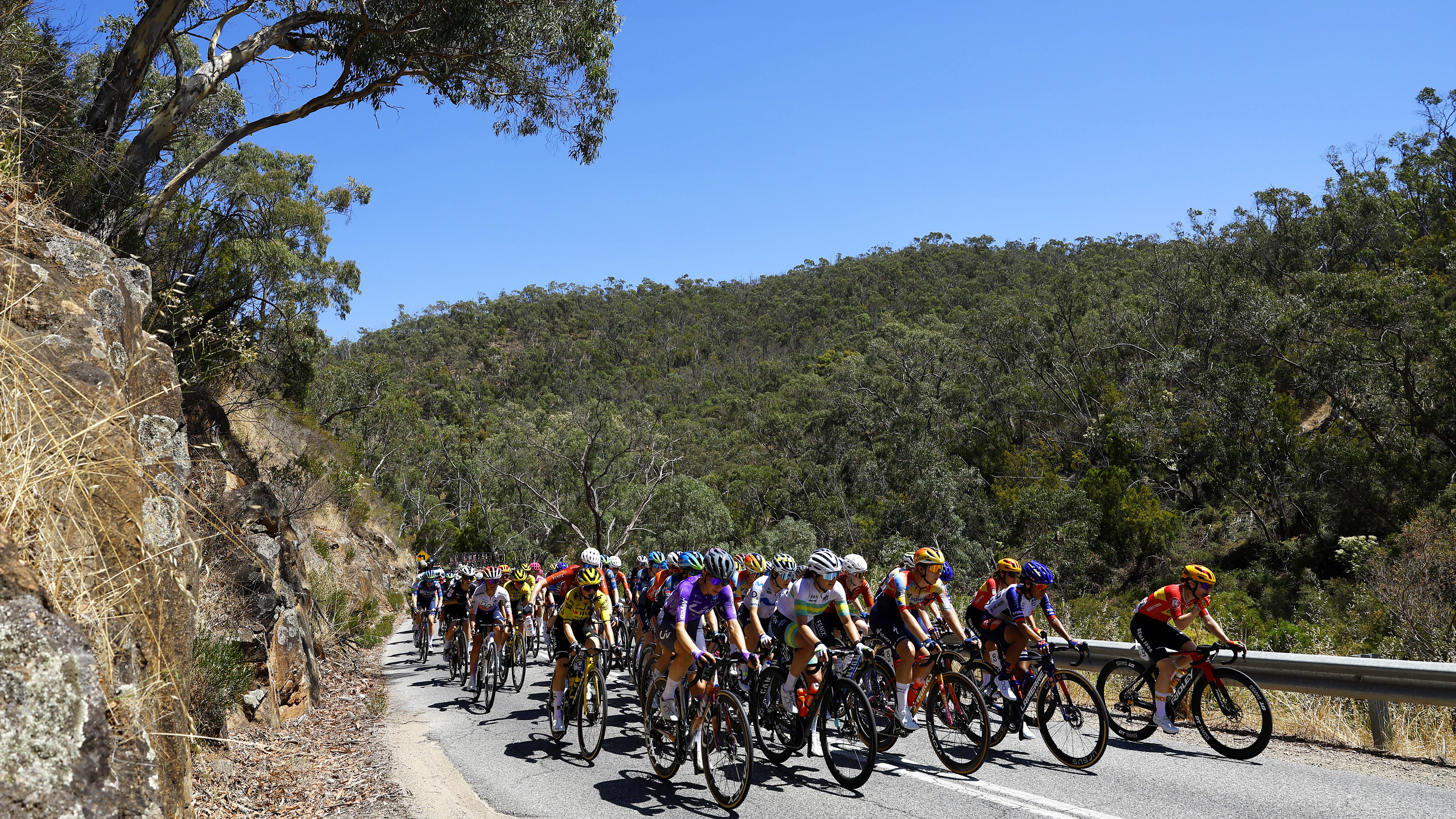 CAMPBELLTOWN, AUSTRALIA - JANUARY 19: A general view of the peloton competing during the 10th Santos Women's Tour Down Under 2026