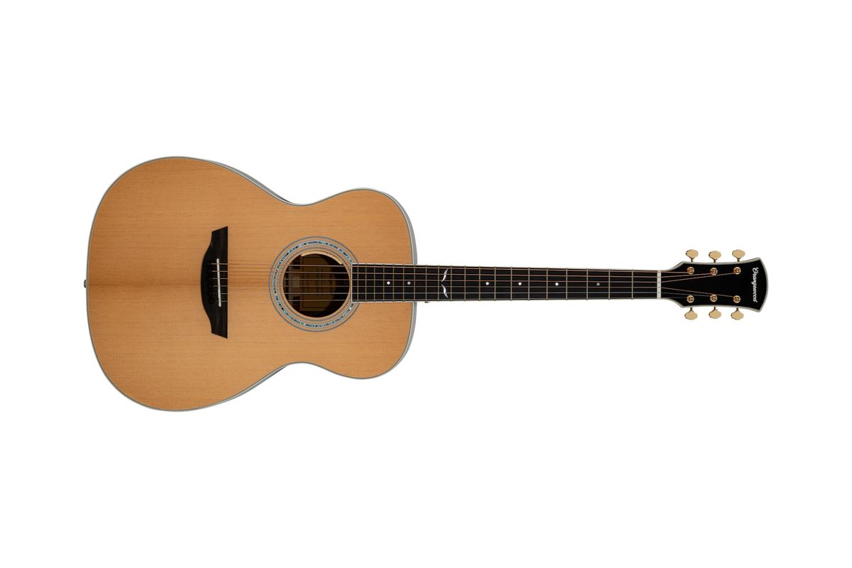 Orangewood Sierra
