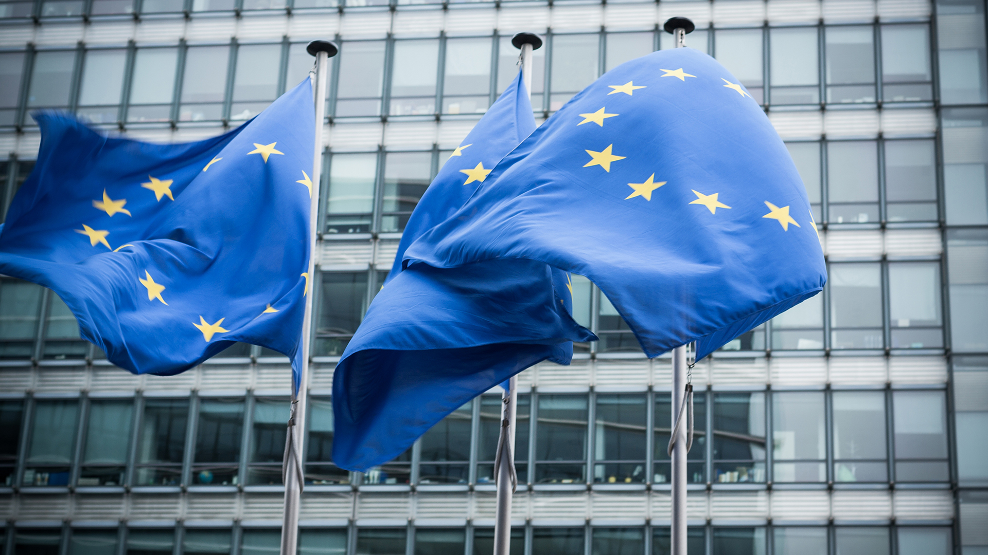 eu flags at the eu parliament